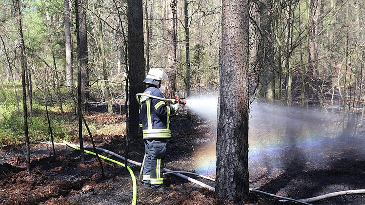 Bei einem Feuer im Kreis Nürnberger Land (Mittelfranken) gerieten am Freitag rund tausend Quadratmeter Wald in Brand. Die Feuerwehr rückte mit einem Großaufgebot an und löschte die Flammen. Foto: NEWS5 / Fechner