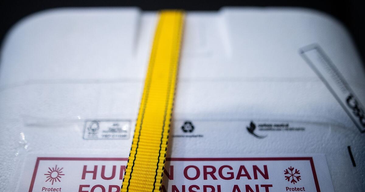 Naples: Boy (2) in coma after fatal donor heart defect