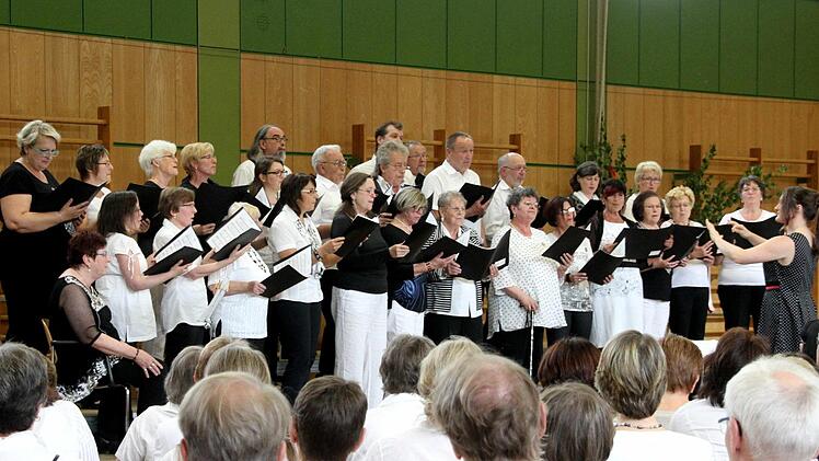 Der Volkschor Herzogenaurach  Foto: Richard Sänger