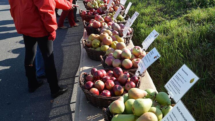 Foto: Ronald Rinklef