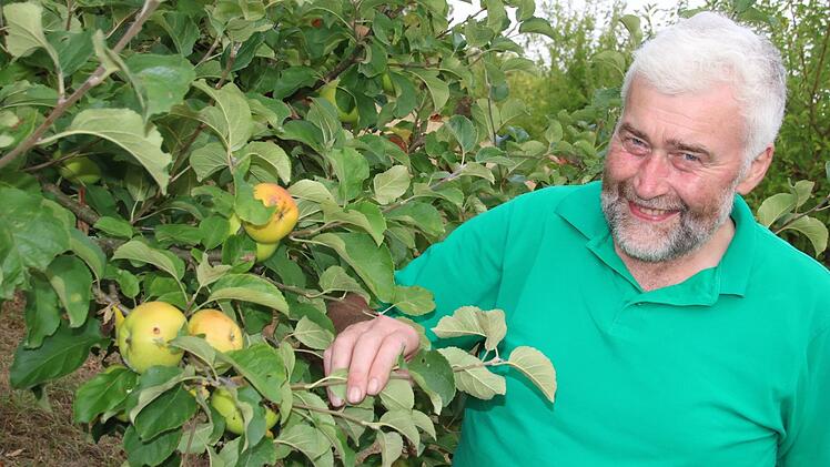 Hans-Karl Hertel aus Horsdorf freut sich über die viele Äpfel, die er heuer ernten kann.Matthias Einwag