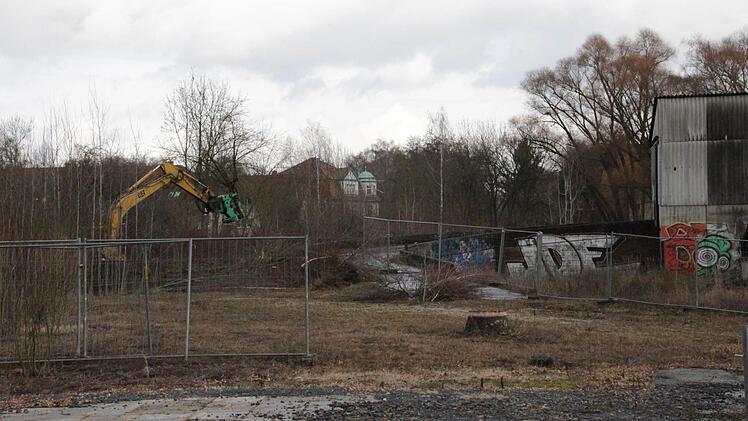 Ein Bagger arbeitet sich durch Büsche und Bäume auf dem ehemaligen Brockardt-Areal. Foto: Simone Bastian