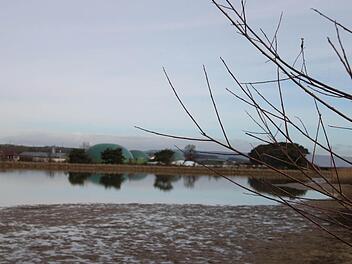 Eine Biogasanlage in Willersdorf Foto: Ekkehard Roepert
