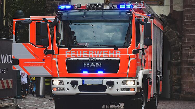Papagei l&ouml;st Feuerwehreinsatz in Karlsruhe aus
