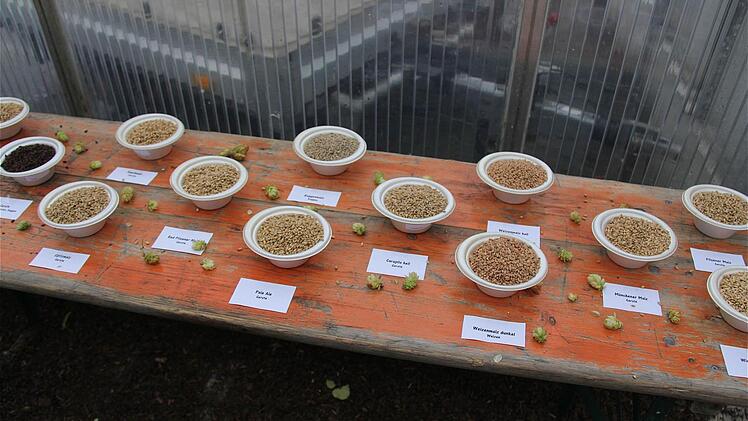 Die Auswahl an verschiedenen Malz- und Hopfensorten war überwältigend.