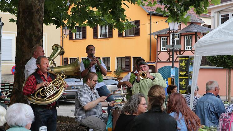 Stadtfest "Musik und Märkte" Thomas Malz