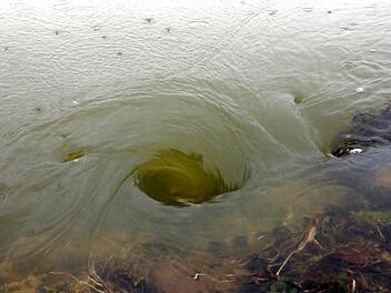 Für Beunruhigung sorgten die steigenden Pegel am Wochenende nicht nur in Kersbach: Auch in Kirchehrenbach, wo das Wasser der Wiesent (Bild) über das Ufer trat, weckte der Regen Erinnerungen an das Hochwasser von 2007.  Foto: Josef Hofbauer