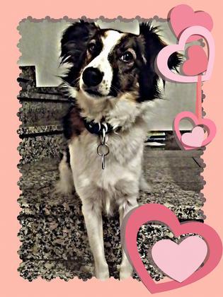 Foto: Steffi Debus