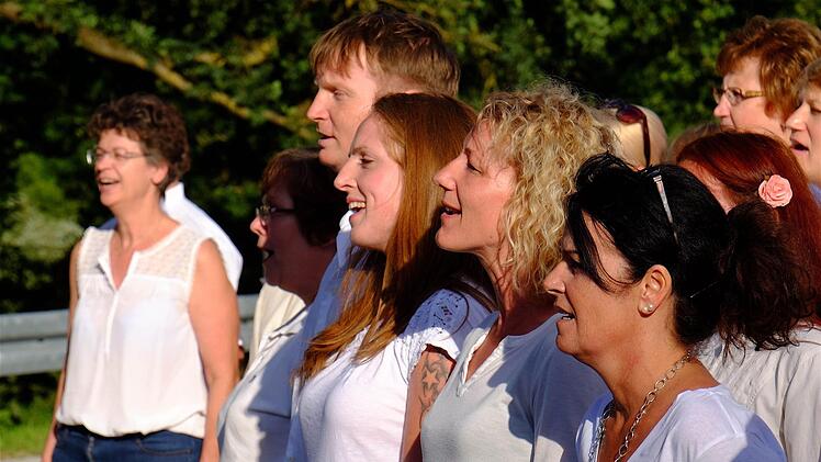 Für musikalische Unterhaltung sorgte der frisch gegründete Brückenchor unter der Leitung von Bettina von Hindte. Foto: Gerd Schaar