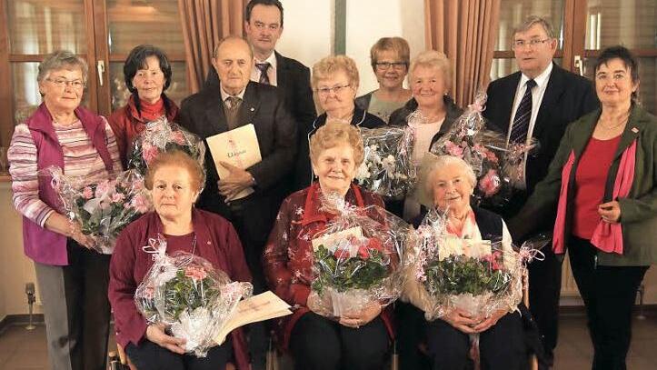Margarete Reichel, Gertrud Habermann, Johann Habermann, Stefan Arnold, Elisabeth Ritter, Waltraud Reichel, Katharina Singer, Präses Pfarrer Werner Wolf, Diözesansekretärin Maria Gerstner; sitzend Renate Lang, Berta Maier sowie Annemarie Grießinger bei der Ehrung (v.l.) Foto: Franz Galster