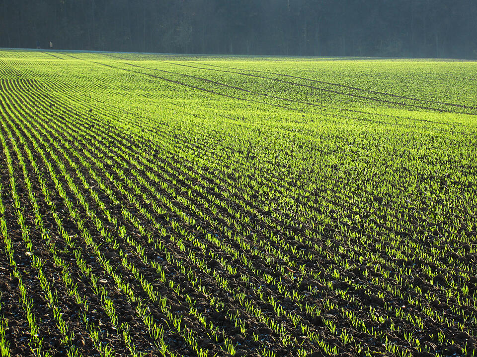 Fotos Konrad Thomann