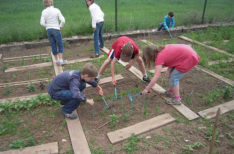 Bamberg: "Lernen durch Engagement" immer beliebter - Ausstellung und Sprechstunde