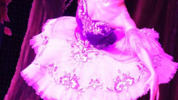 Die Fliederfee alias Shoko Tayama tanzte sich mit viel Grazie in die Herzen der Kulmbacher Zuschauer. Foto: Sonja Adam