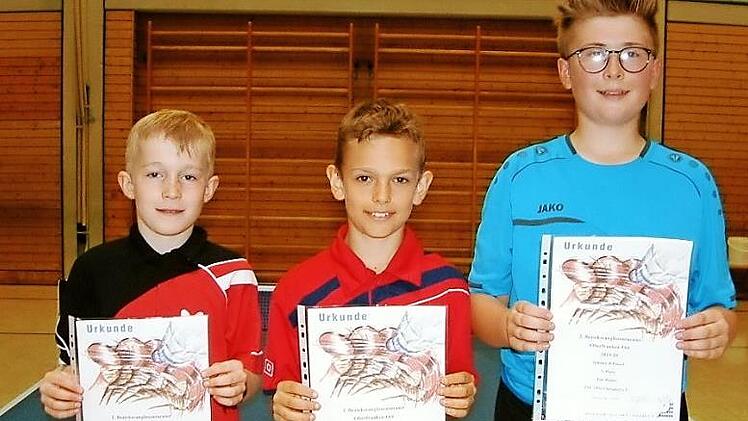 Naoh Krischke vom TSV Ebersdorf (Bildmitte) gewann den Wettbewerb der Schüler B vor Fabian Wrobel (links) und seinem Vereinskameraden Tim Walter.  Fotos: Hans Franz
