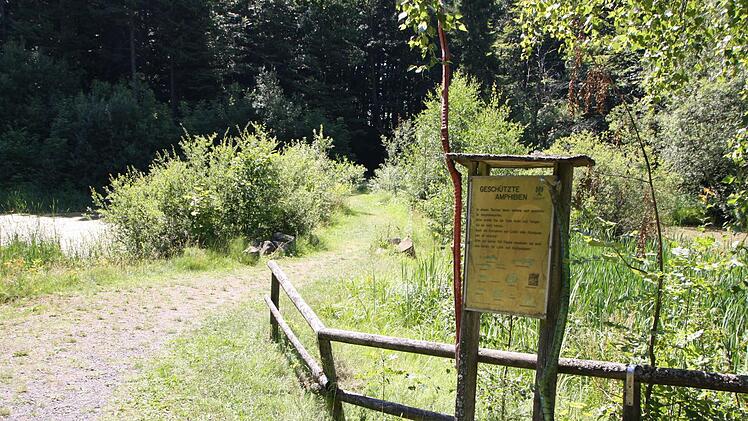 Eindrücke vom Spielplatz auf dem Farnsberg. Foto: Ralf Ruppert
