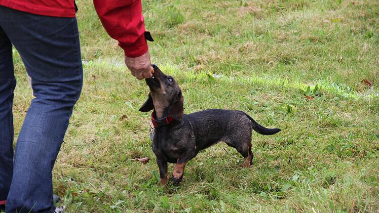 Foto: Mariell Dörrschmidt