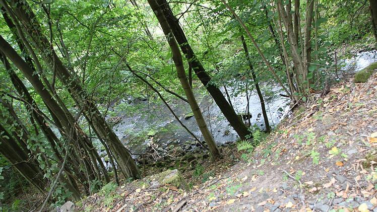 Teilweise fällt das Gelände steil in Richtung Sinn ab. Foto: Ulrike Müller