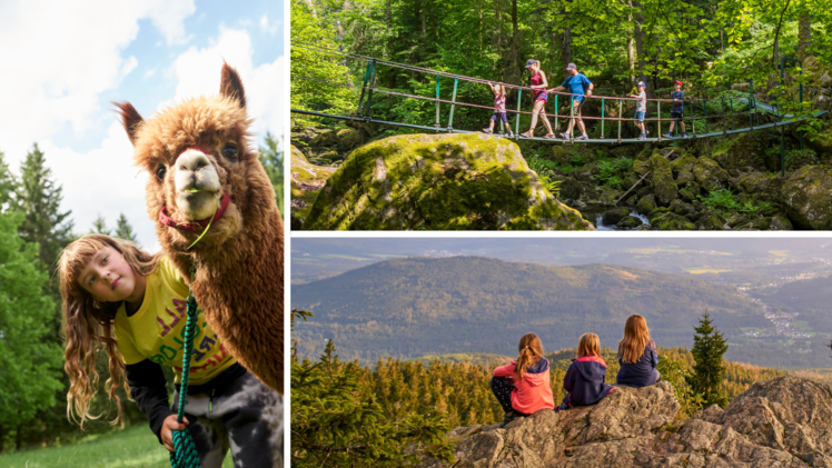 Tourismusverband Ostbayern e. V.: Plane deinen perfekten Familienurlaub im Bayerischen Wald