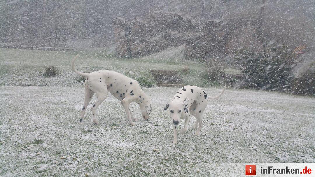 Winter im April 2016 in Franken