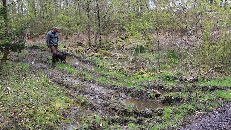 Tiefe Spuren haben hier in der Abteilung "Urweidensee" im Stadtwald bei Jesserndorf Holzrückfahrzeuge hinterlassen. Manchmal ist das nicht zu vermeiden, sagte Förster Wolfgang Gnannt, der hier mit seinem Hund "Haifa" eine solche Stelle zeigt. Die Spuren werden zur gegebenen Zeit beseitigt.  Foto: Helmut Will
