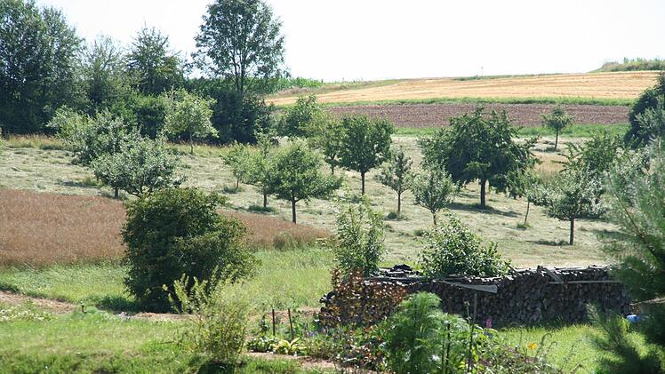 Oberleiterbach: StreuobstwieseFoto: A. Klemisch