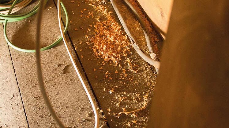 Schmutz und ein gerissenes Kabel