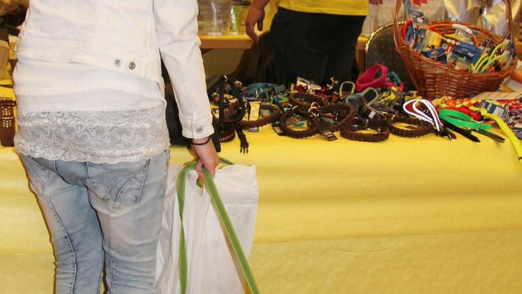 Während der Rauhaardackel viel lieber schnuppern würde, begeistert sich Frauchen für Leinen und Halsbänder Foto: Sonny Adam