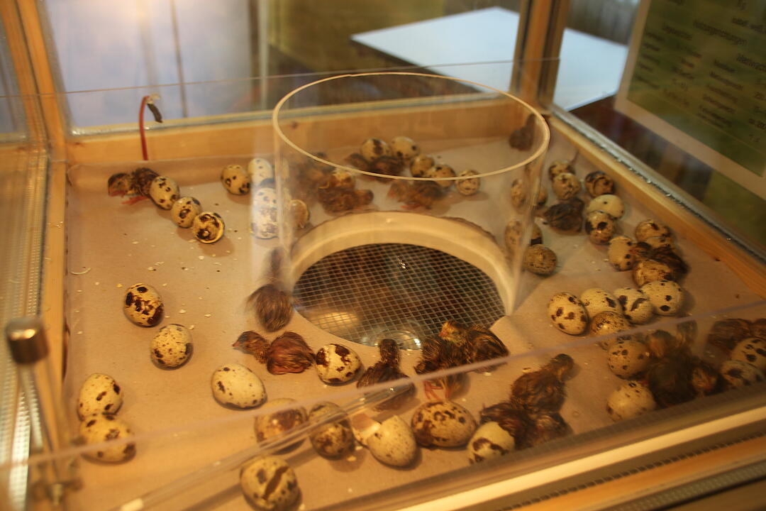 21. Berufsb&ouml;rse