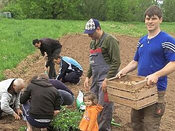 Die Asylbewerber bepflanzen in Pautzfeld mit großem Einsatz einen Acker.  Foto: Mathias Erlwein