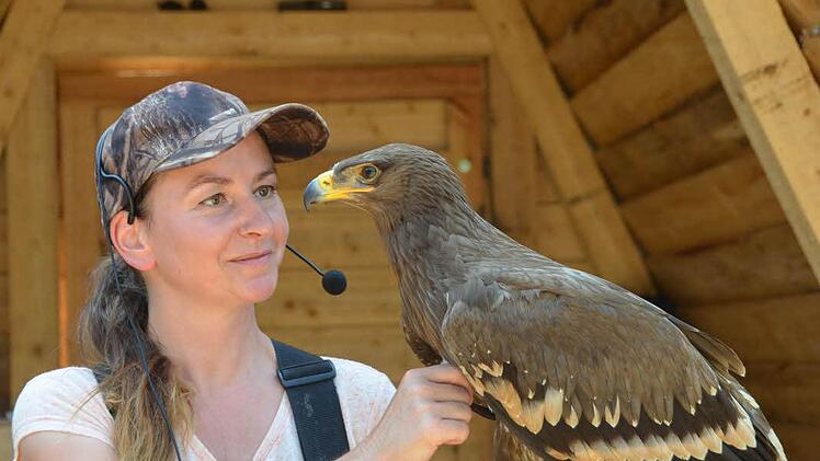Von besonderem Interesse sind stets die Vorführungen mit den Greifvögeln. Foto: Rauch