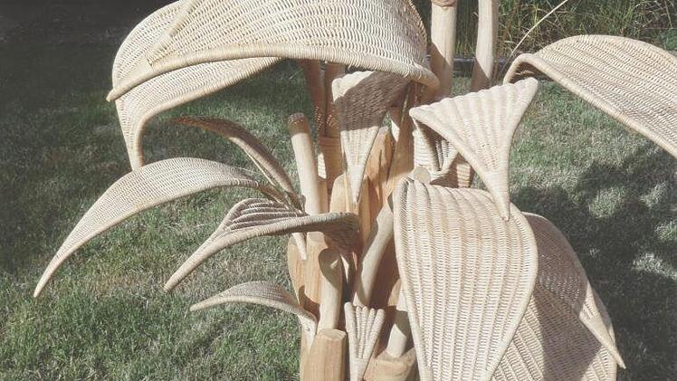 Ein Blatt wie dieses soll jede bisherige Korbstadtkönigin flechten. Foto: M. Popp