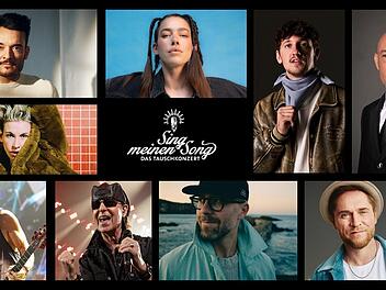 Die Stars der neuen Staffel von "Sing meinen Song".