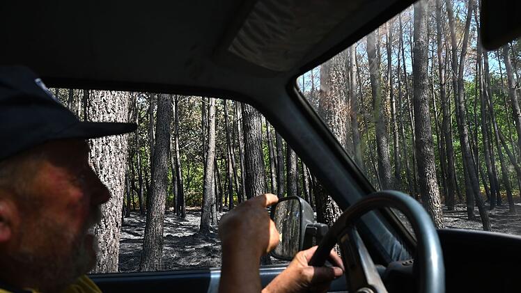 Waldbr&auml;nde in Frankreich