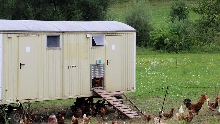 Hühner mit mobilem Haus hat die Tochter von Edgar Thomas, Franziska in Nüdlingen. Foto: Werner Vogel