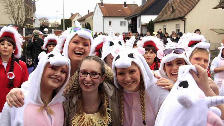 Impressionen vom Faschingsumzug der Weisendorfer Blummazupfer. Foto: Richard Sänger