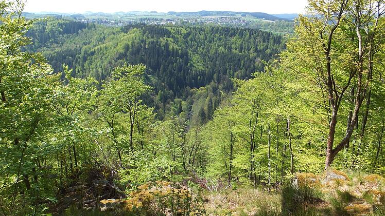 Das bayerische Kabinett hat entschieden: Der Frankenwald wird kein Nationalpark. Foto: Thomas Kraemer/BDF/Bund Deutscher Forstleute/dpa