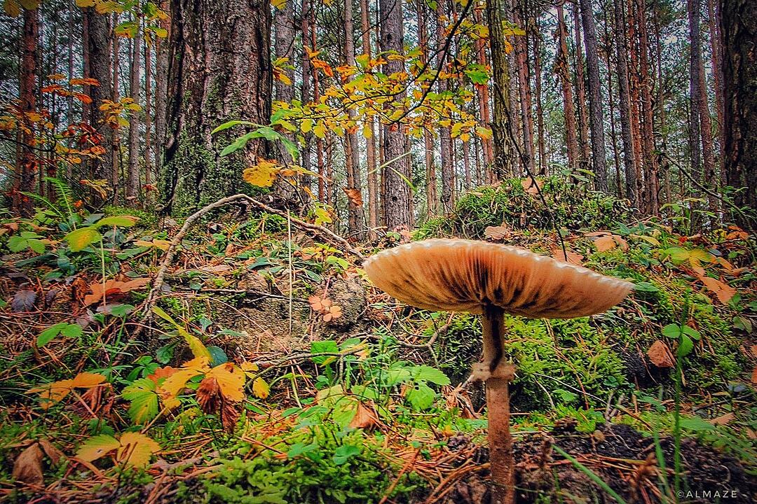 Die schönsten Fotos im Herbst aus Bamberg und Umgebung
