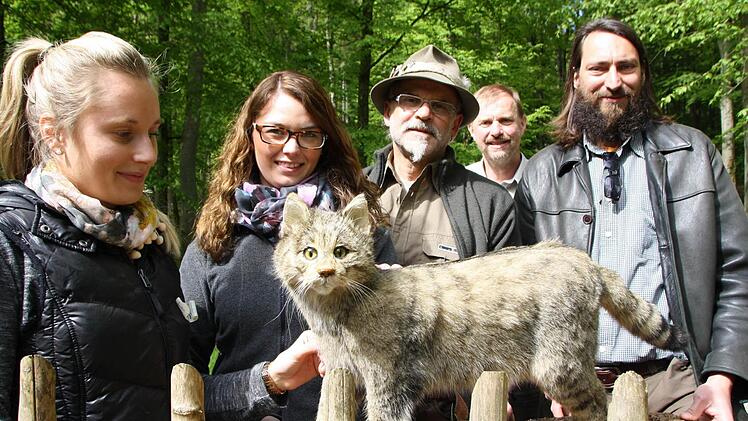 Die Studentinnen Katja Schmidt (von links) und Clara Pohlmann kommen mit Schulklassen in den Wildpark Klaushof, um Kindern das Leben der Wildkatze nahezubringen. Für den Schutz der bedrohten Tierart setzen sich auch der Polizist und Jäger Gerold Lumpe, Stadtförster und Tierparkleiter Axel Maunz und Peter Piel von der Unteren Naturschutzbehörde ein. Foto: Ralf Ruppert