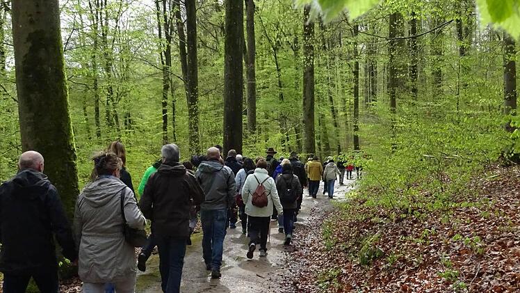 Zahlreiche Interessierte gingen den rund acht Kilometer langen Weg vom Heiligenhof zum Museum Euerdorf. Foto: Doris Bauer
