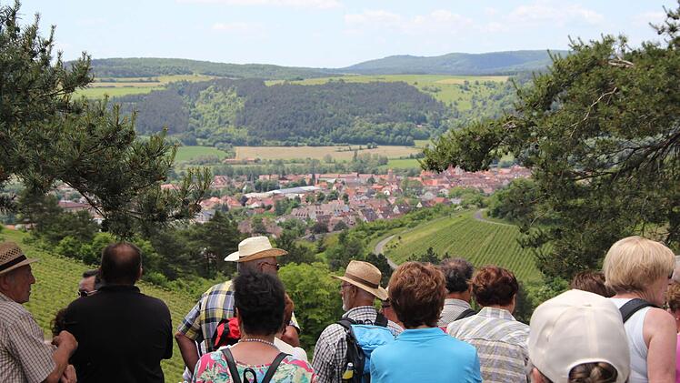 Blick auf Hammelburg