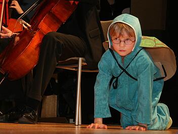 Schnelligkeit kann man von einer Schildkröte nicht erwarten.