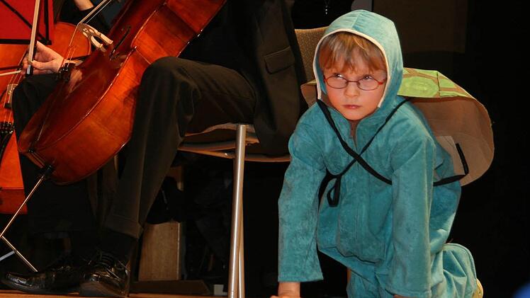 Schnelligkeit kann man von einer Schildkröte nicht erwarten.