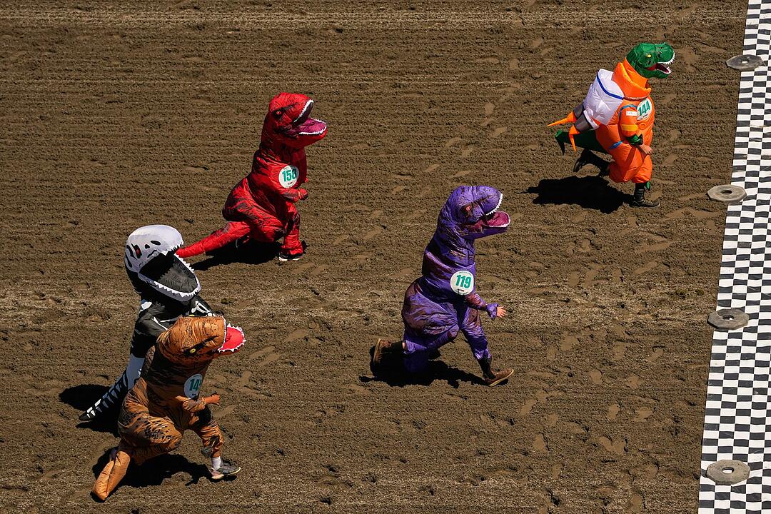 T-Rex-Rennen in Auburn