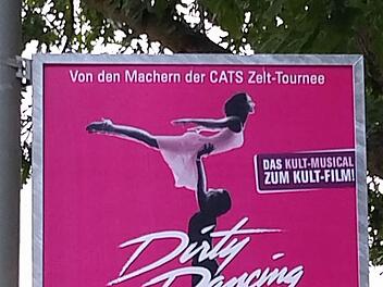 Wilde Plakataktionen sind den Kasendorfer Gemeinderäten schon lange ein Dorn im Auge. Foto: privat