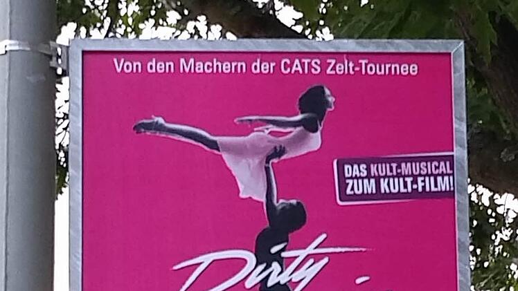 Wilde Plakataktionen sind den Kasendorfer Gemeinderäten schon lange ein Dorn im Auge. Foto: privat