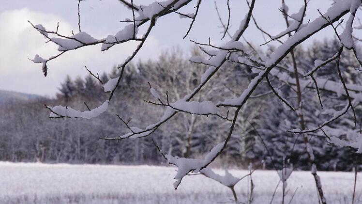 Winterimpressionen Foto: Marco Meißner