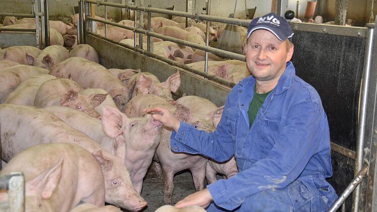 Der Waldfensterer Roland Metz ist einer der wenigen Landwirte im Landkreis, der auch Mastschweine hält. Hier ist er im Stall bei den jüngeren Tieren, die etwa zwölf Wochen alt sind. Sie bleiben gut vier Monate bei ihm, bevor sie geschlachtet werden. Foto: Kathrin Kupka-Hahn