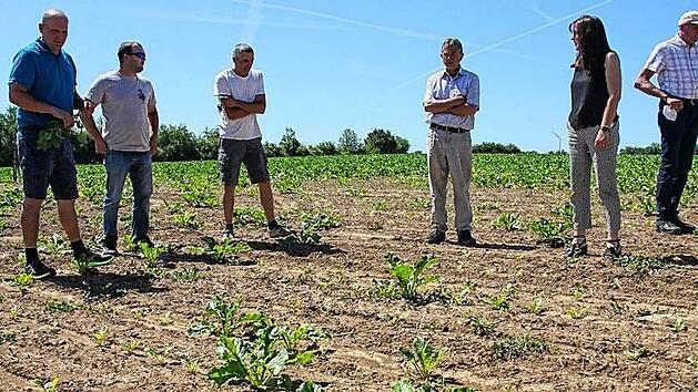 Foto: Landwirte auf ihrem Feld