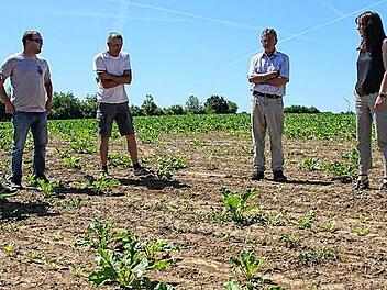 Foto: Landwirte auf ihrem Feld