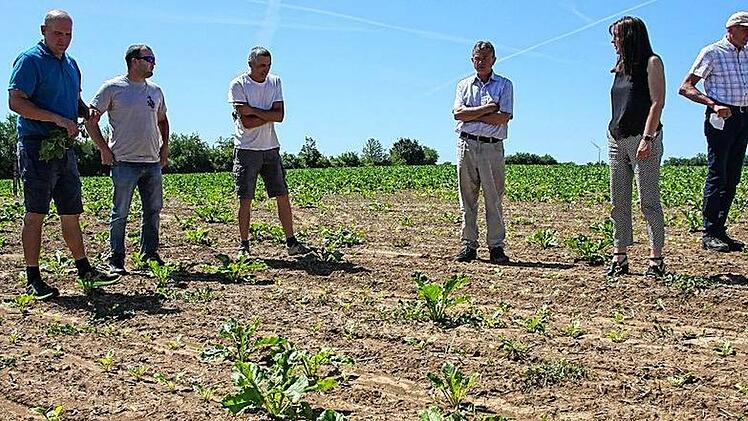 Foto: Landwirte auf ihrem Feld